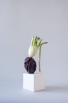 A creative still life composition featuring purple cabbage and fennel on a white block against a grey backdrop.