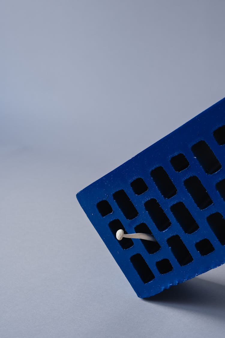 A White Mushroom Growing Inside The Blue Brick