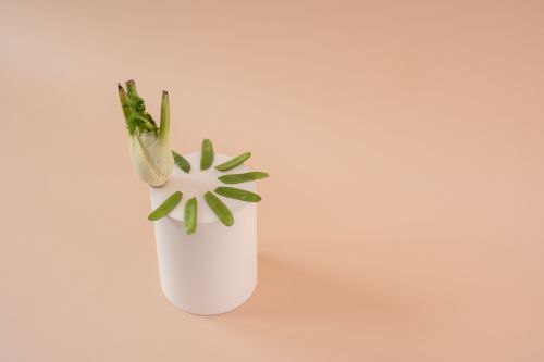 Free A minimalist still life featuring fennel and peas on a white pedestal with a beige backdrop. Stock Photo