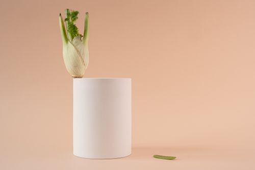 Free A studio shot of a fennel bulb on a white pedestal against a peach background. Stock Photo