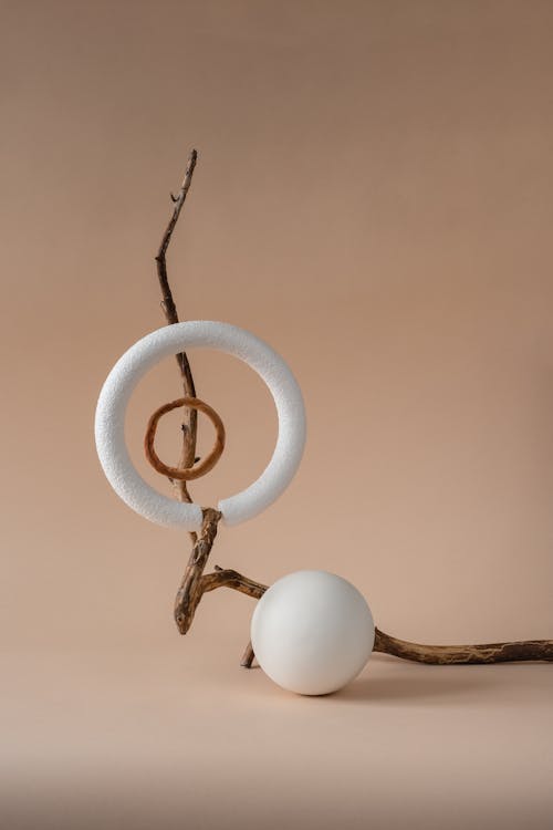 Free Spherical Object on a Dried Branch Stock Photo