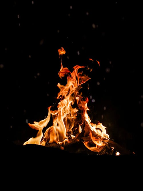 Free A  Bonfire Flame in the Darkness of the Night Stock Photo