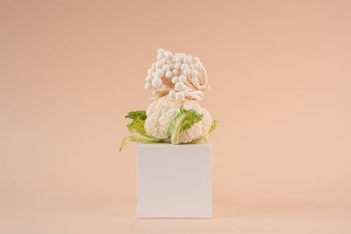 Vegetables and a White Object