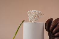 White Flower in White Ceramic Vase
