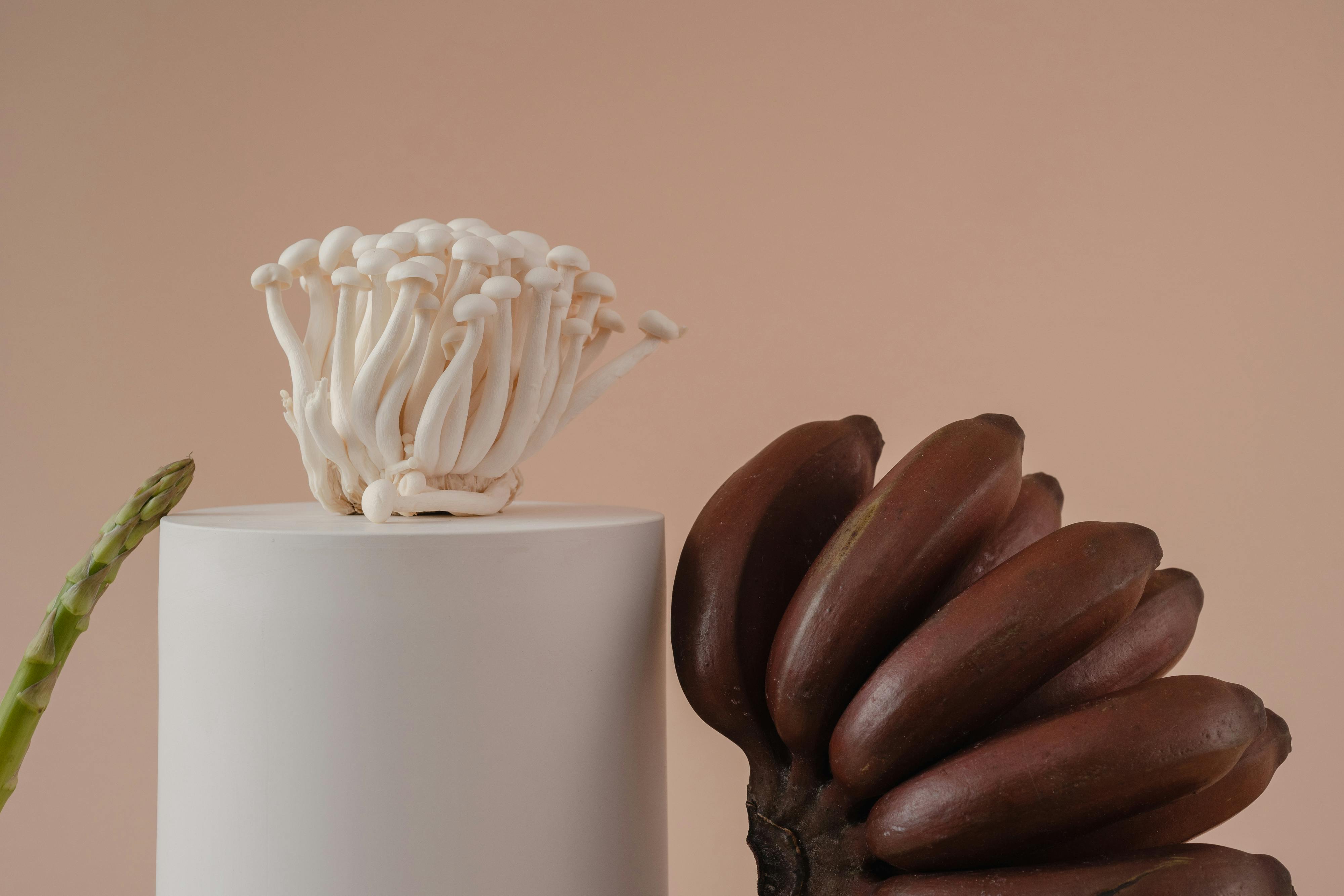 Why do I love dark chocolate so much?