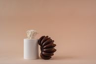 Brown Pine Cone on White Ceramic Mug