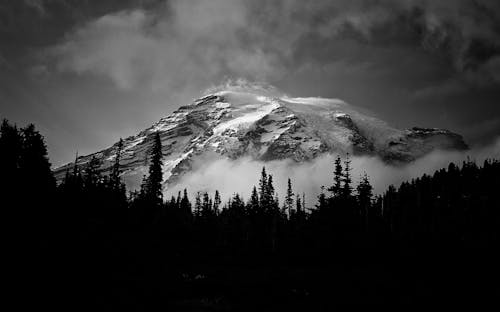 Ücretsiz Karla Kaplı Bir Dağın Gri Tonlamalı Fotoğrafı Stok Fotoğraflar