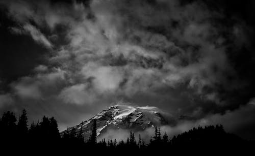 Grayscale Photography of Mountain and Trees