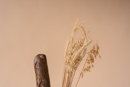 A Baguette and Wheat