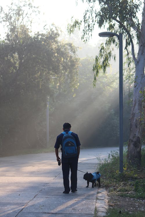 Back View of a Man Walking on the Road with His Dog 