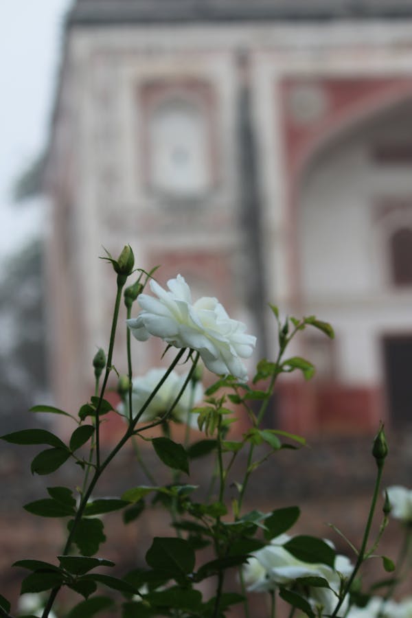 Chennai