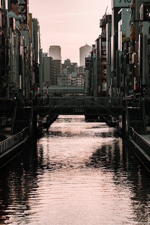 강, 거리, 건물의 무료 스톡 사진