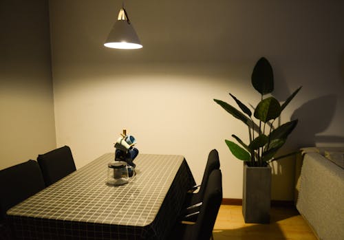 Free Photo of Dining Table near the Plant Stock Photo