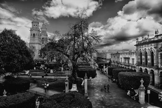 Morelia
