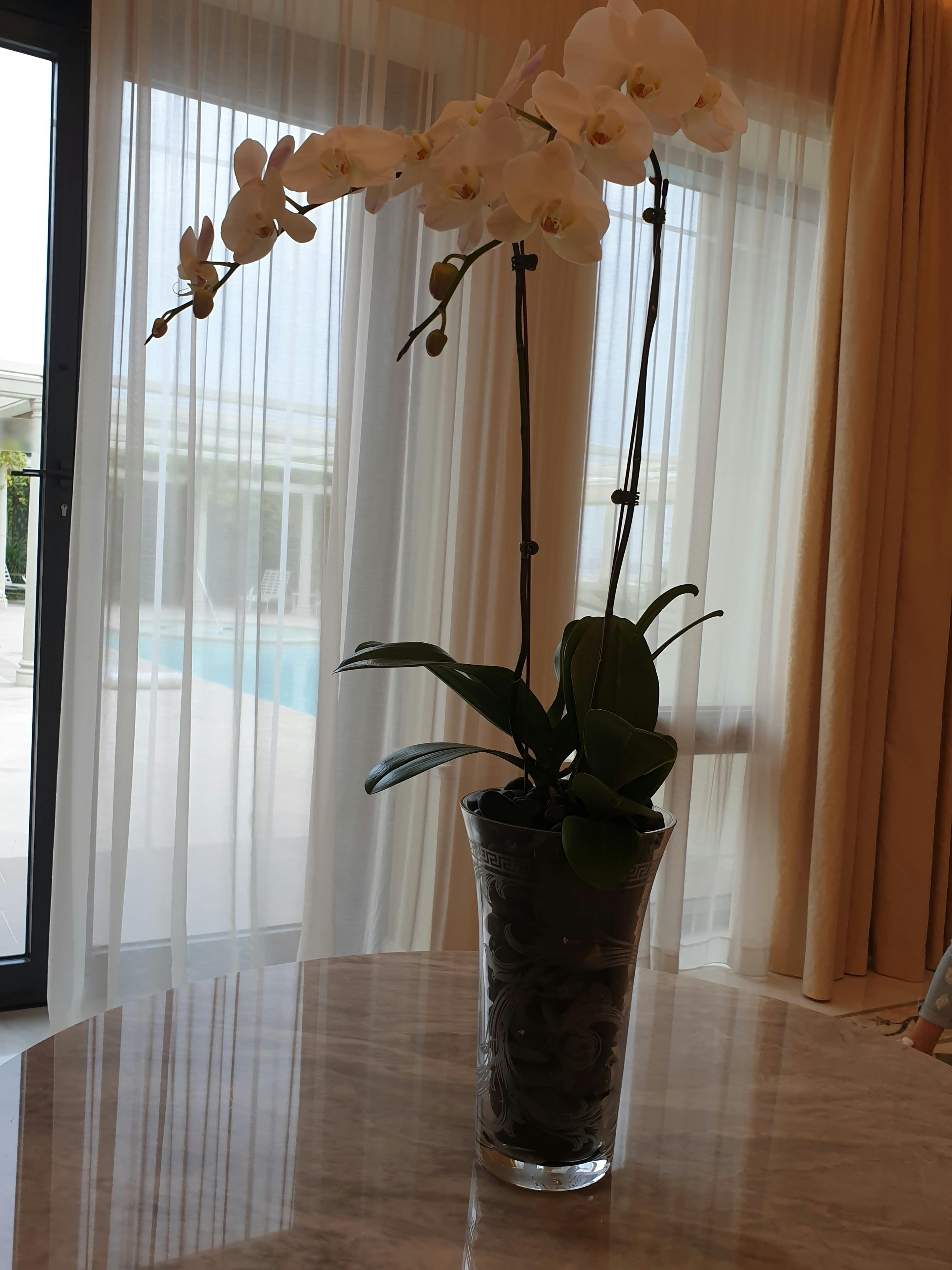 A young woman working on her laptop while sitting on a balcony, engaging and relaxed.