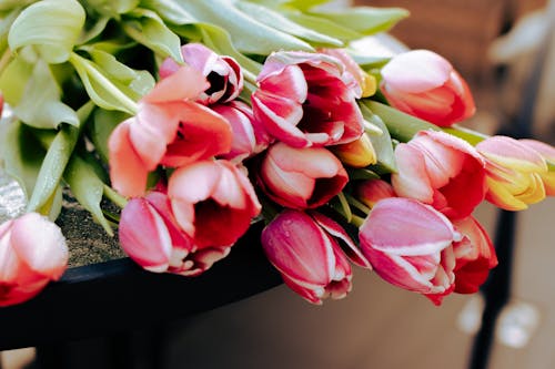 Tulips Bouquet with Green Leaves