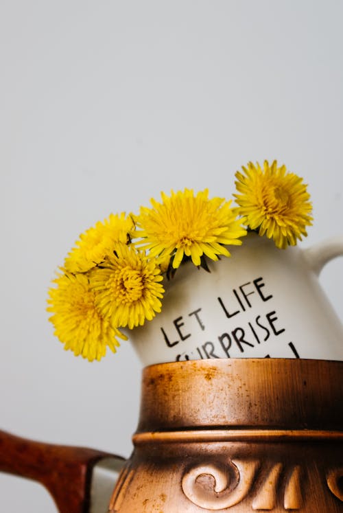 Free Bouquet of yellow dandelions placed in ceramic cup Stock Photo