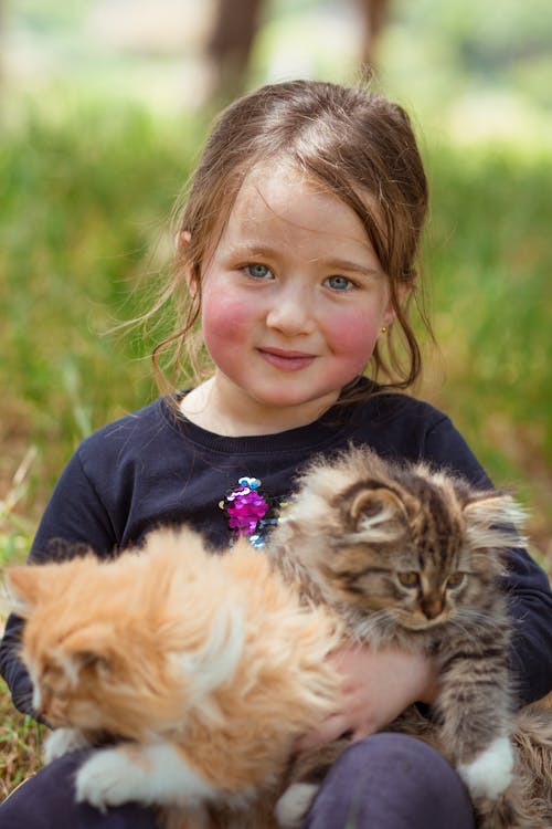Girl in casual clothes sitting on grassy ground and holding fluffy kitties on blurred background and looking at camera