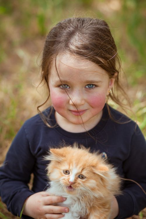 Free From above portrait of cute little girl looking at camera and meowing kitty with fluffy red fur against blurred background Stock Photo