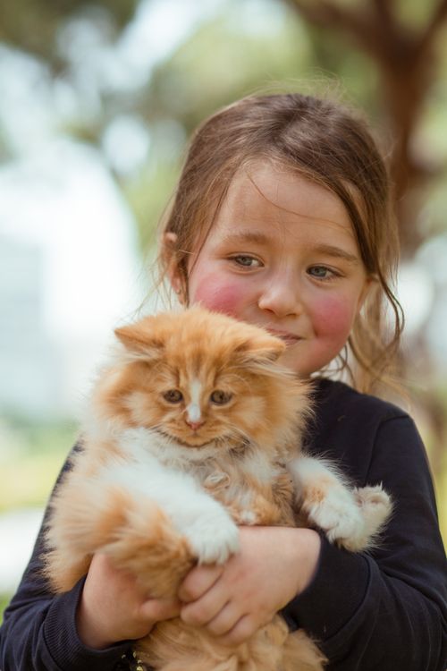 Free Pensive cute little female kid with fluffy red kitty in hands looking away in blurred park Stock Photo