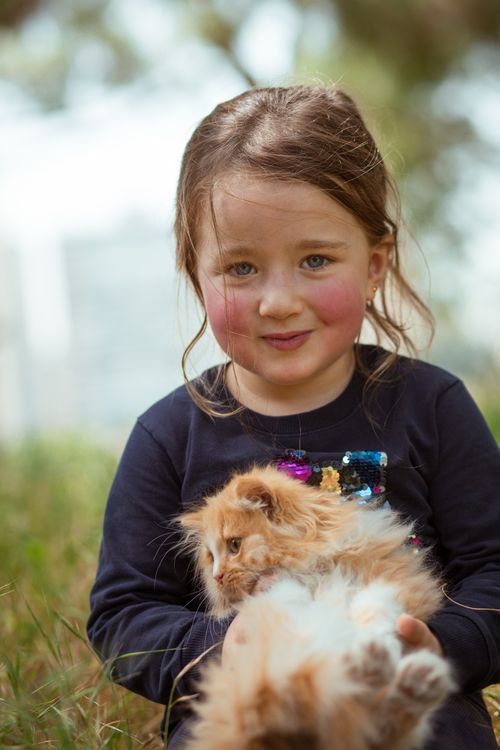 Free Cute girl with blushing cheeks looking at camera and holding adorable fluffy kitten while spending time in nature Stock Photo