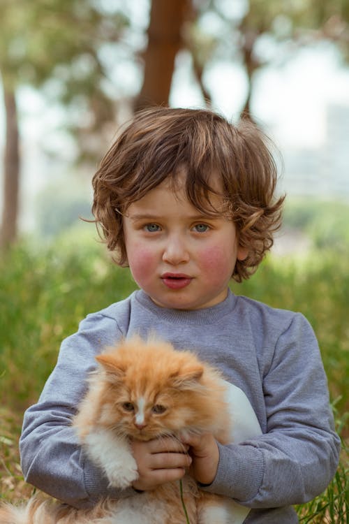 Adorable little male child looking at camera while hugging cute fluffy red kitten while standing in park in summer