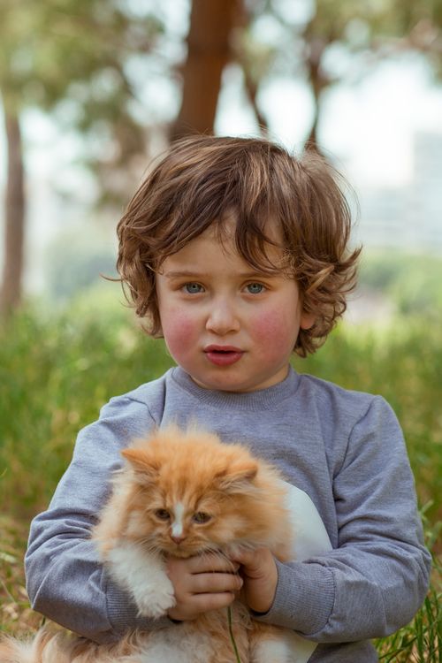 Free Adorable little male child looking at camera while hugging cute fluffy red kitten while standing in park in summer Stock Photo