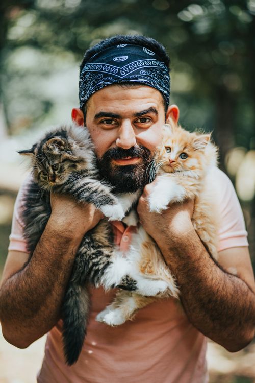 Free A bearded man joyfully holds two fluffy kittens in a sunny outdoor setting. Stock Photo