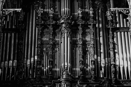 一张复古黑白照片中，错综复杂的哥特式管风琴管被捕捉下来