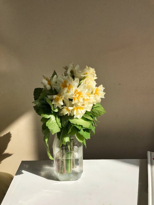 Free Yellow Flowers in Clear Glass Vase Stock Photo