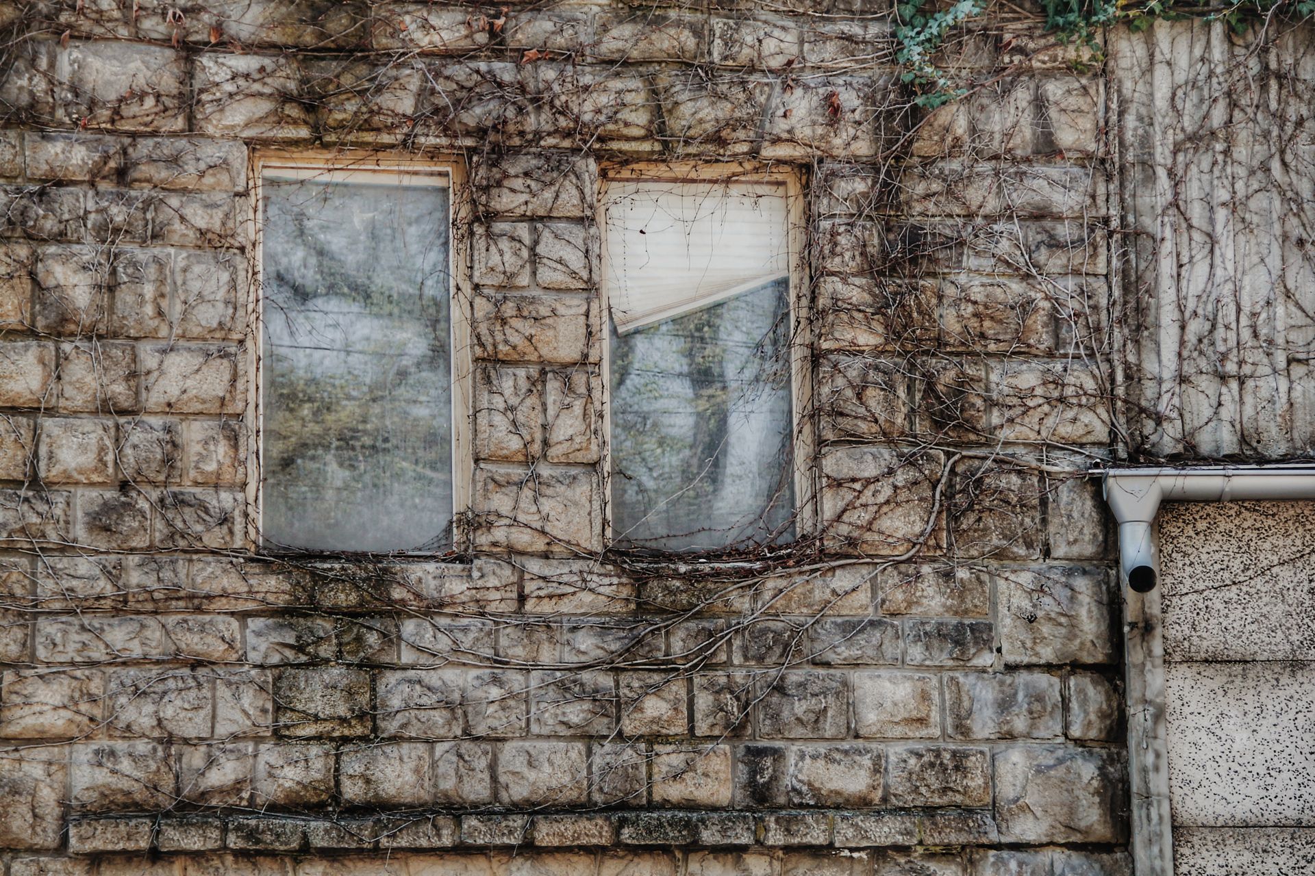 Windows in Derelict House