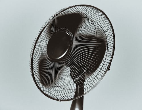 Free stock photo of fan, wind