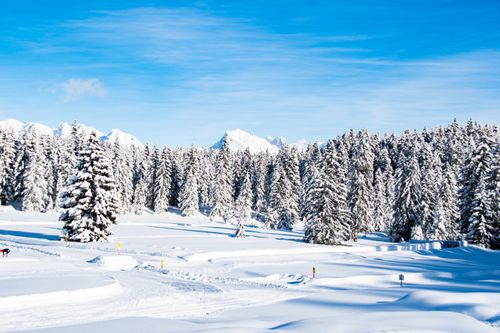 Free A breathtaking view of a snow-covered forest in Seefeld, Tirol, showcasing winter's beauty. Stock Photo