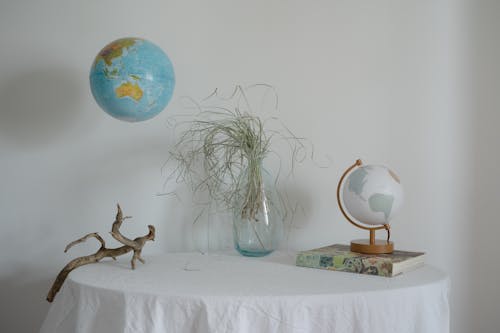 Globe and a Bouquet on a Table 