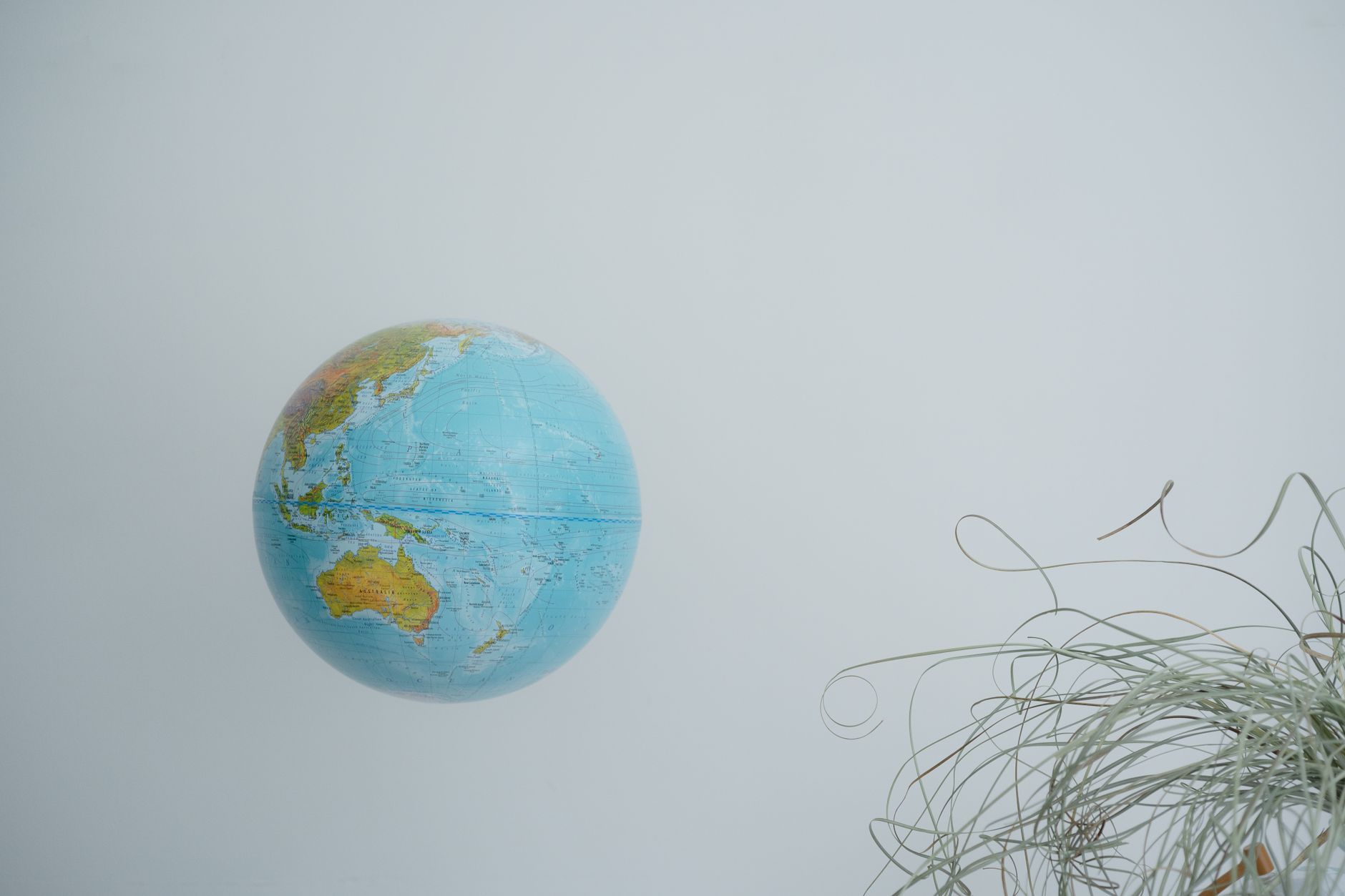 A globe appears to float against a minimal, light blue background with plant accents.