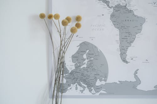 Darmowe zdjęcie z galerii z craspedia, lokalizacje, mapa świata