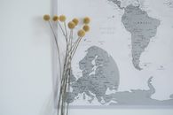 Dried Craspedia Flowers and a Scratch Map