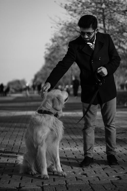 Man Wearing Blazer Holding a Dog