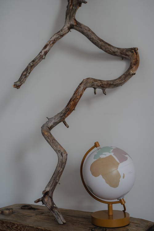 Desk Globe by a Tree Branch Decor