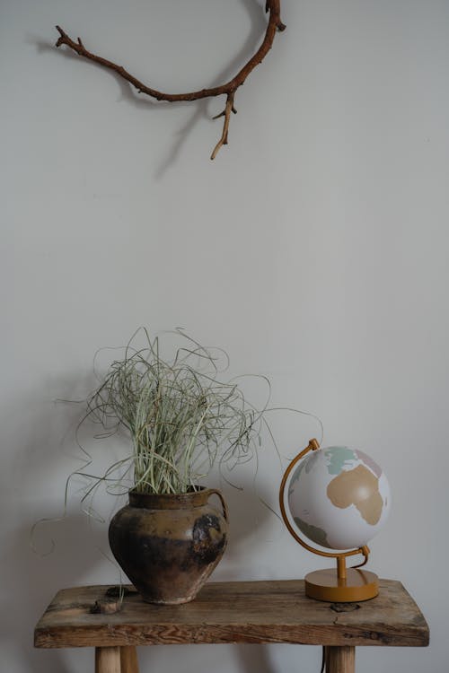 Globe and Vase with Plant on Wooden Table