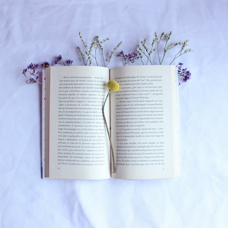 Open Book with Flowers · Free Stock Photo