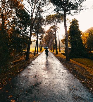 A person walks under an umbrella on a rainy pathway lined with tall trees in Istanbul, Turkey.