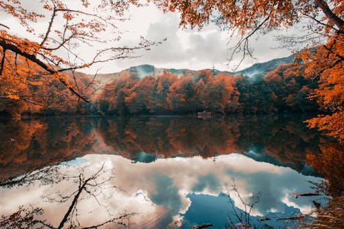 Free Reflection of Trees and Clouds on the Lake Stock Photo