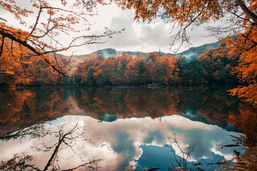 Free Serene autumn landscape with trees reflecting on lake in Bolu, Turkey. Stock Photo