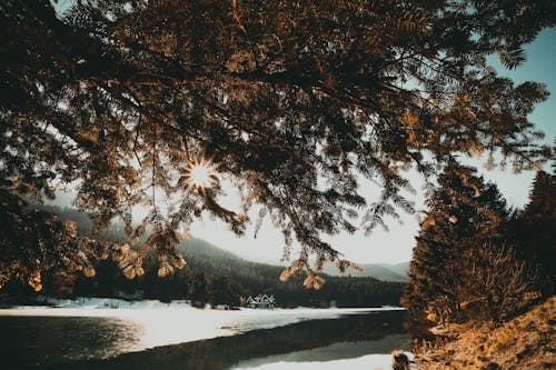 A House Near the Body of Water and Green Mountain