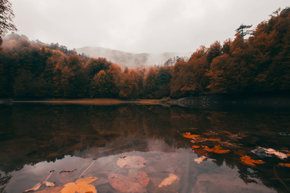 Free Lake, Forest and Mountains in Autumn  Stock Photo