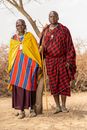 Man in Red and Black Checkered Dress Shirt Standing Beside Brown Tree