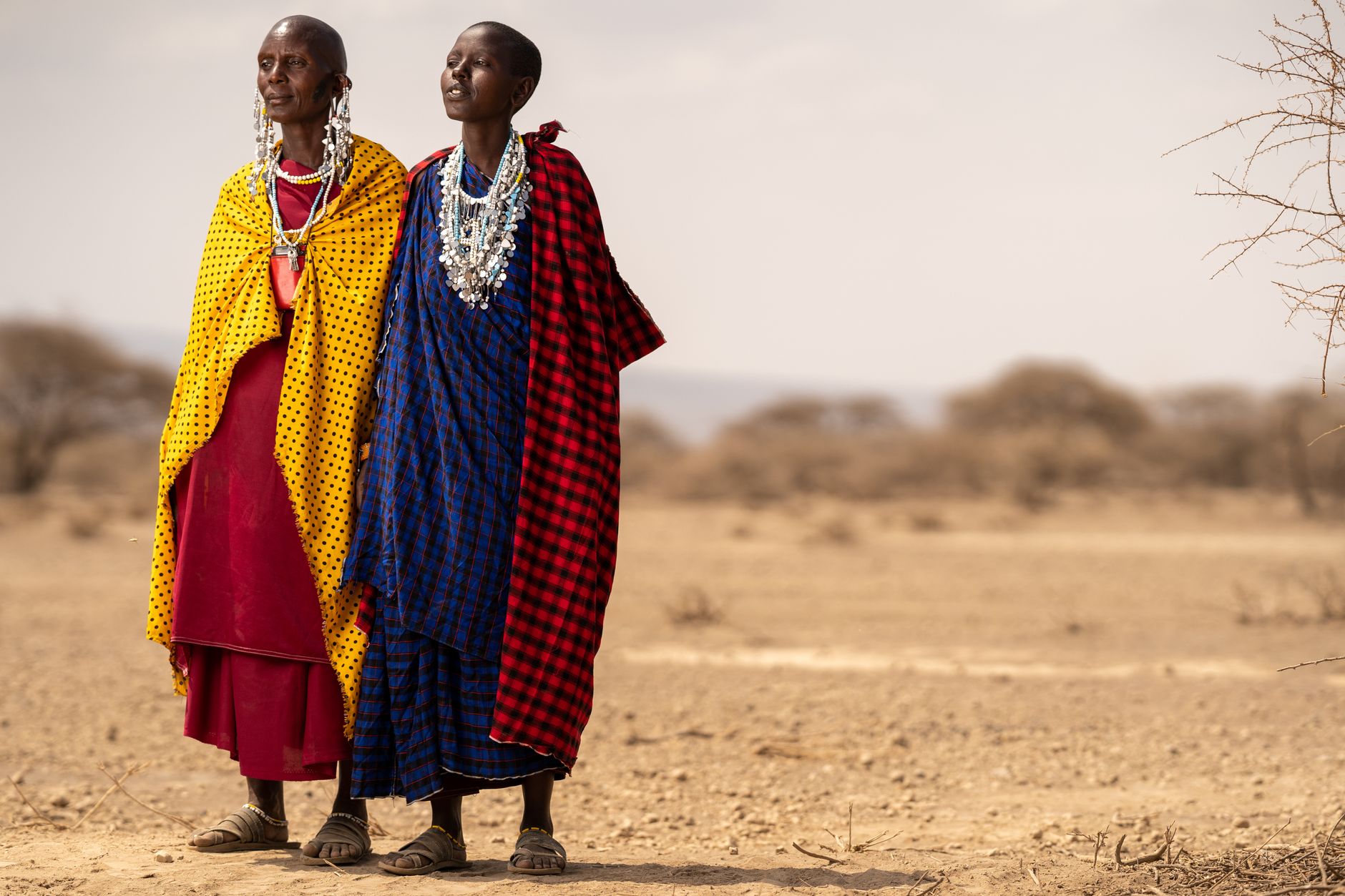 maasai village kenya boma traditional mud huts red blanket people cattle community