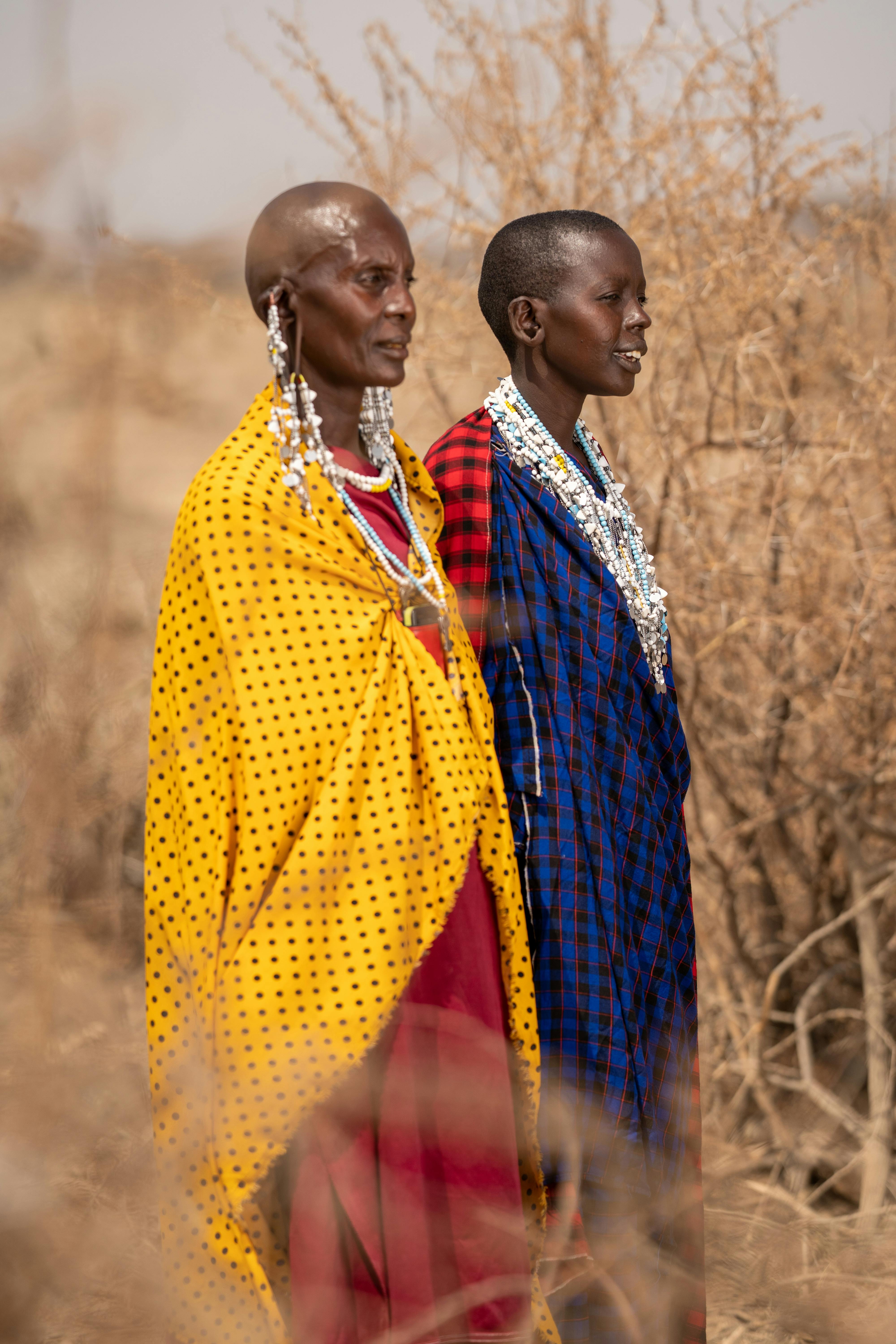 Maasai Blanket Patterns Stock Illustration - Download Image Now