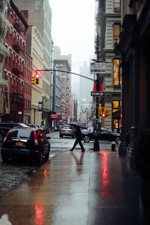 Side view of unrecognizable person with umbrella walking near road with driving cars in megapolis in rainy day